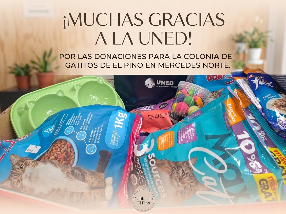 entrega de recolección de alimentos