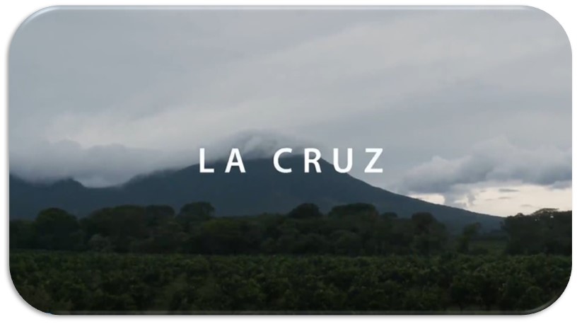 La cruz