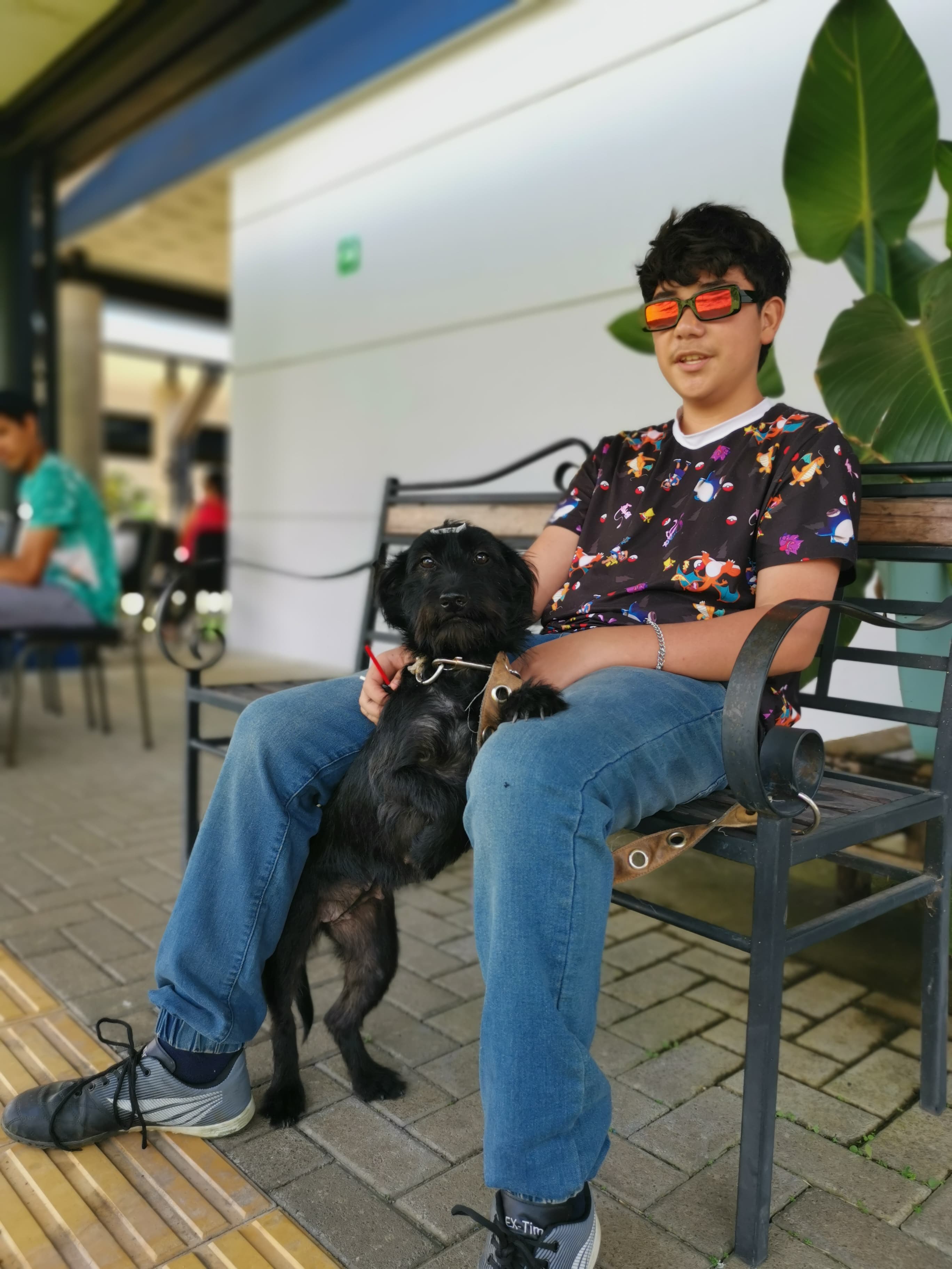 04 II Castración PBAE 2023