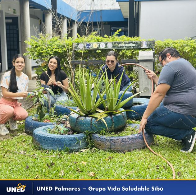 011 Inicio del Primer Cuatrimestre 2025 Grupo Vida Saludable