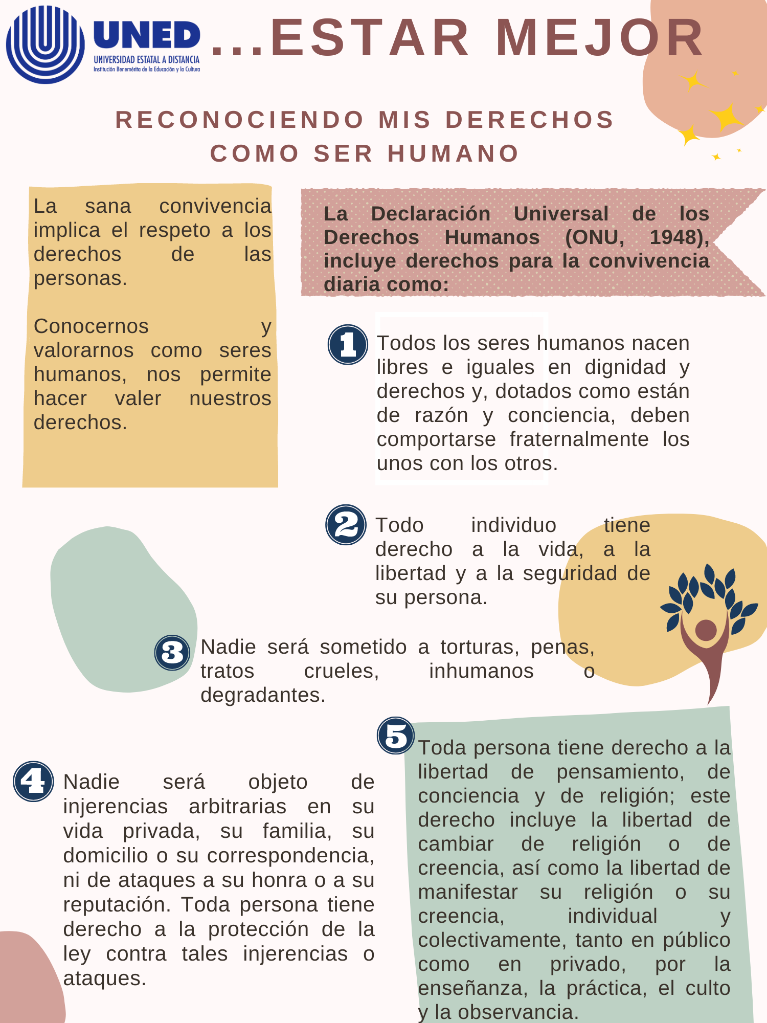 Infografía 7