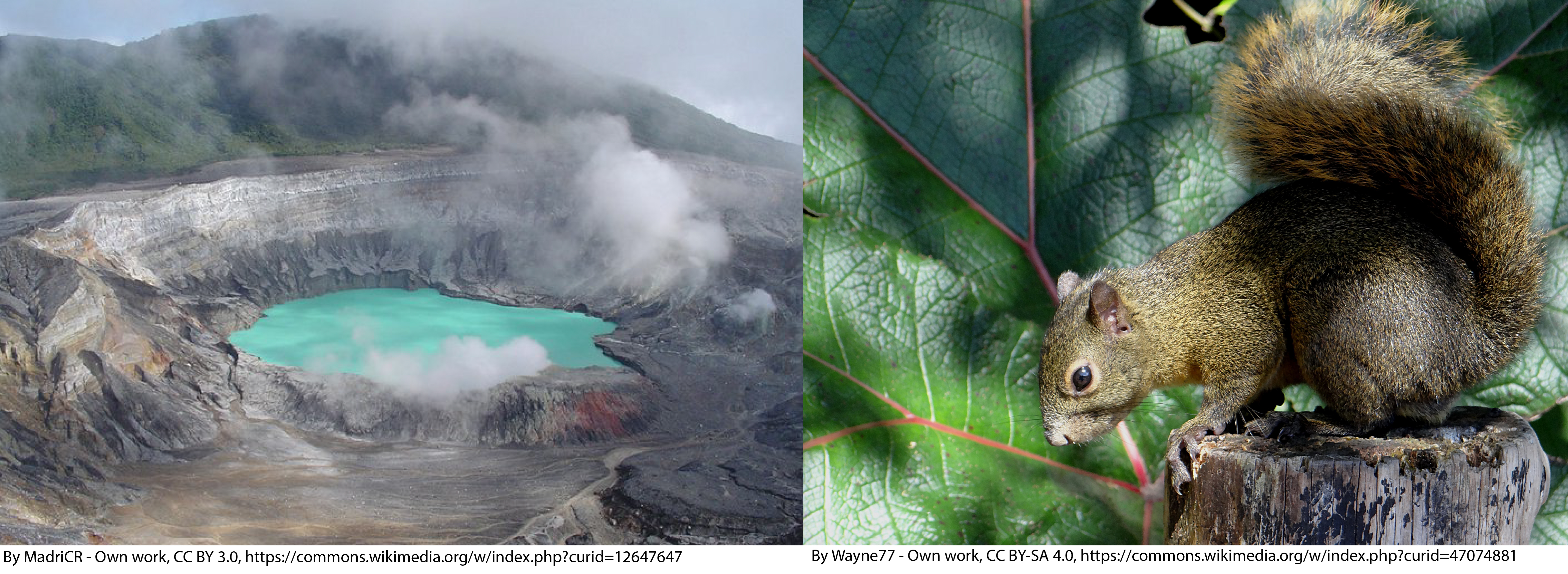 ZBL 2019 Poas Volcano