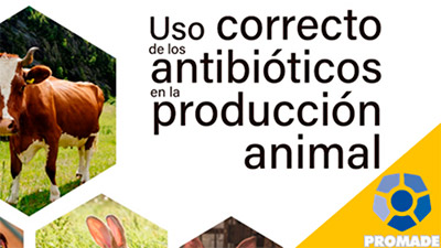 Antibióticos en la producción animal