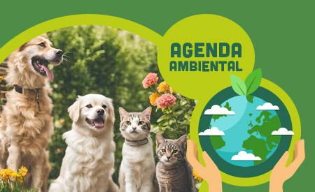 imagen de Campaña castración mascotas. Costa de Pájaros, Puntarenas