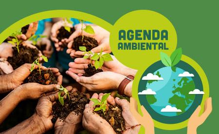 imagen de Taller vacacional