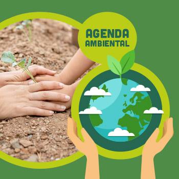 imagen de Siembra de árboles institucional: Siembra vida, siembra un árbol