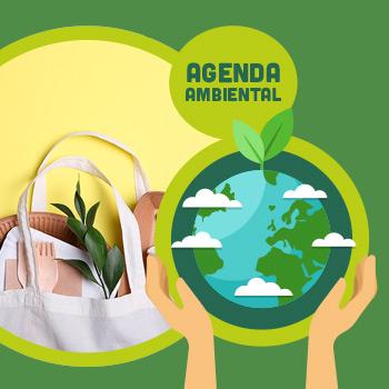 imagen de Campaña de canje de reutilizables y reciclables por árboles